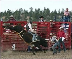rubys-bullrider