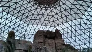 Omaha Zoo indoor desert