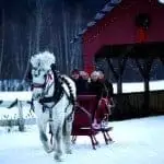 topnotch_sleighbridge