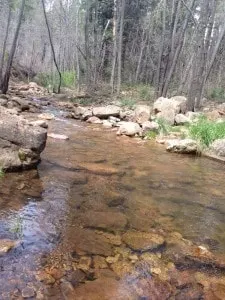 Tonto National Forest creek