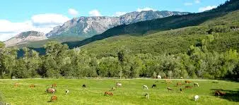 smith fork