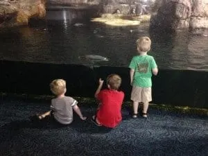 Moody Gardens