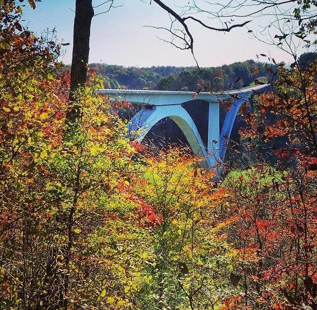 The Natchez Trace