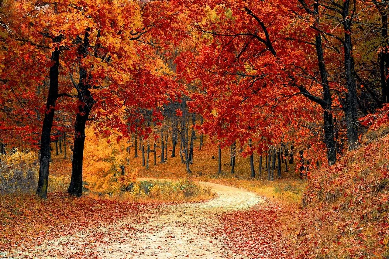 Best fall vacations with toddlers
