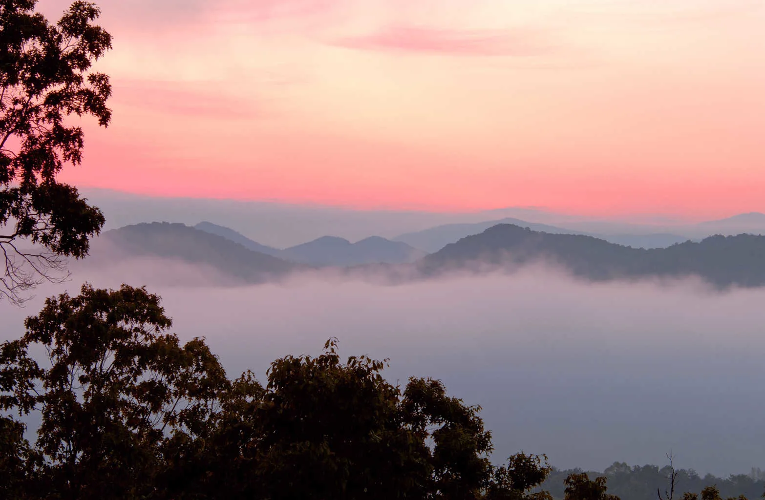 10 Must See Attractions In Tennessee