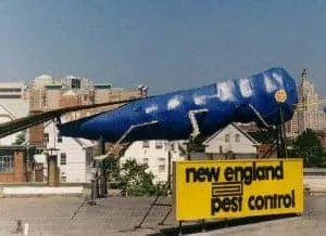 Worlds Largest Blue Bug