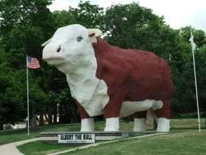 Worlds Largest Bull