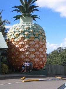 Worlds Largest Pineapple