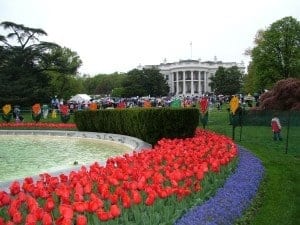 white house easter egg roll