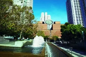MoMA