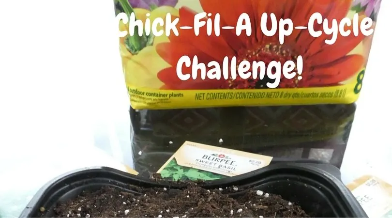 Chick Fil A Up Cycle Challenge