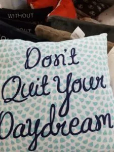 I love this pillow from their College Move In line! 