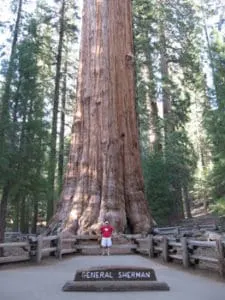 General Sherman