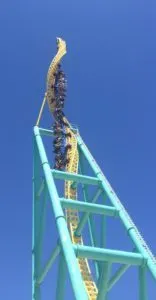 IMG_3383
