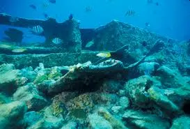 ship wreck site