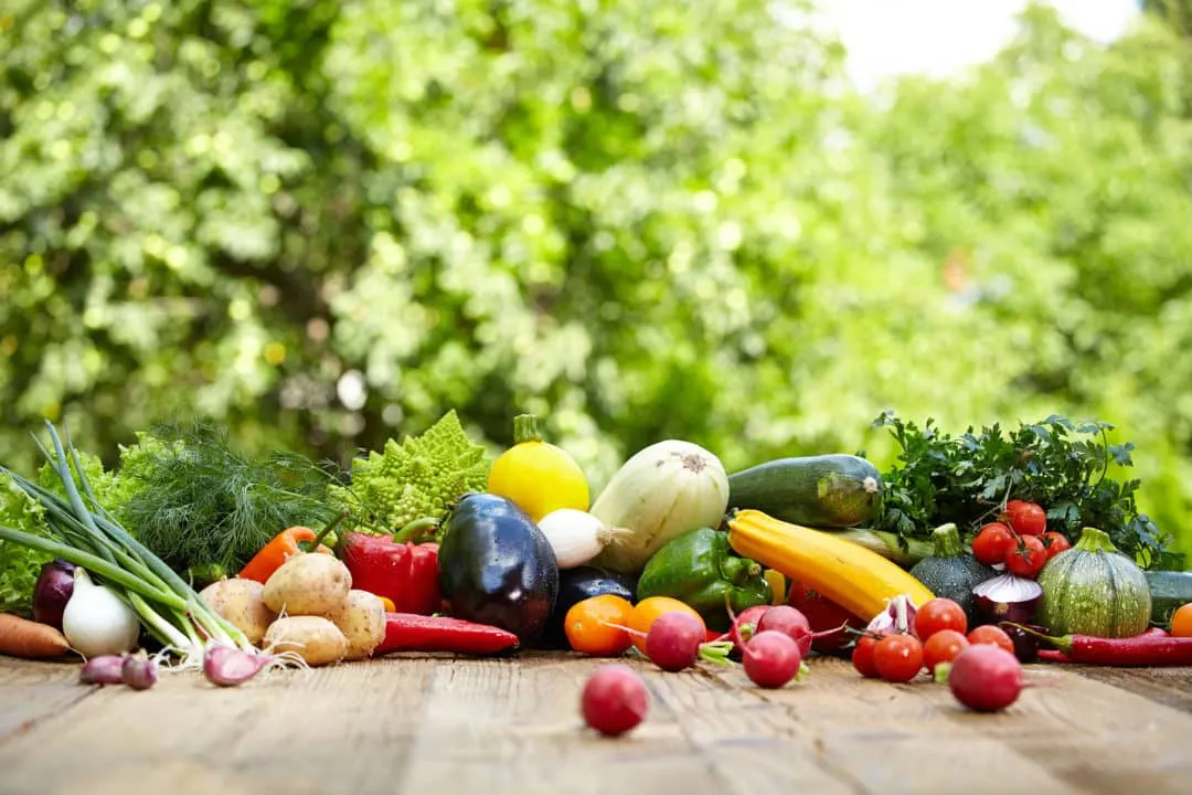 The big way chipotle is changing farmers markets for kids