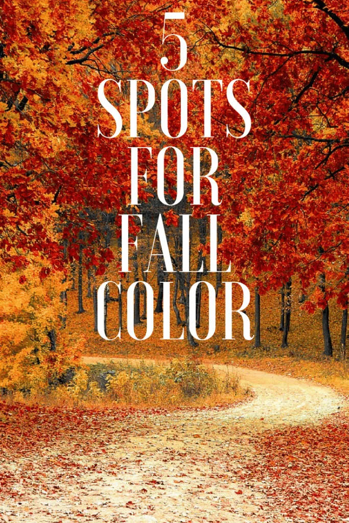 Where are the best spots for fall color? Take a look at our list of 5 spots for Fall color all over the United States. #fallcolors #fall #leafpeeping