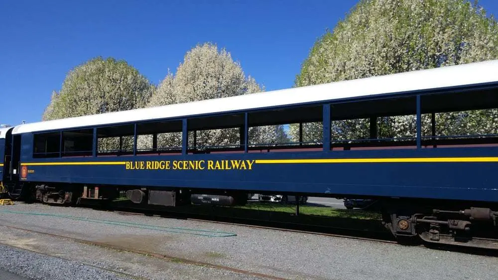Fun Things to Do with Kids in Blue Ridge, GA