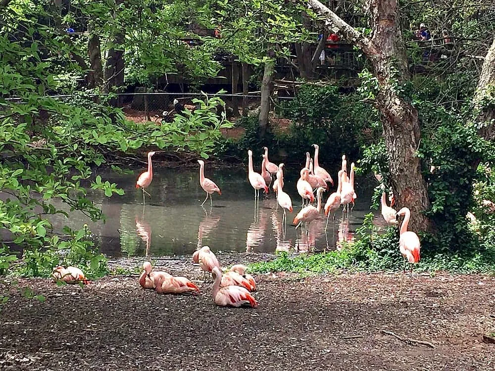 10 Must See Attractions in Kentucky