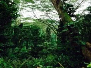 Half Dozen of the Best Free Things to Do with Kids in Oahu, Hawaii