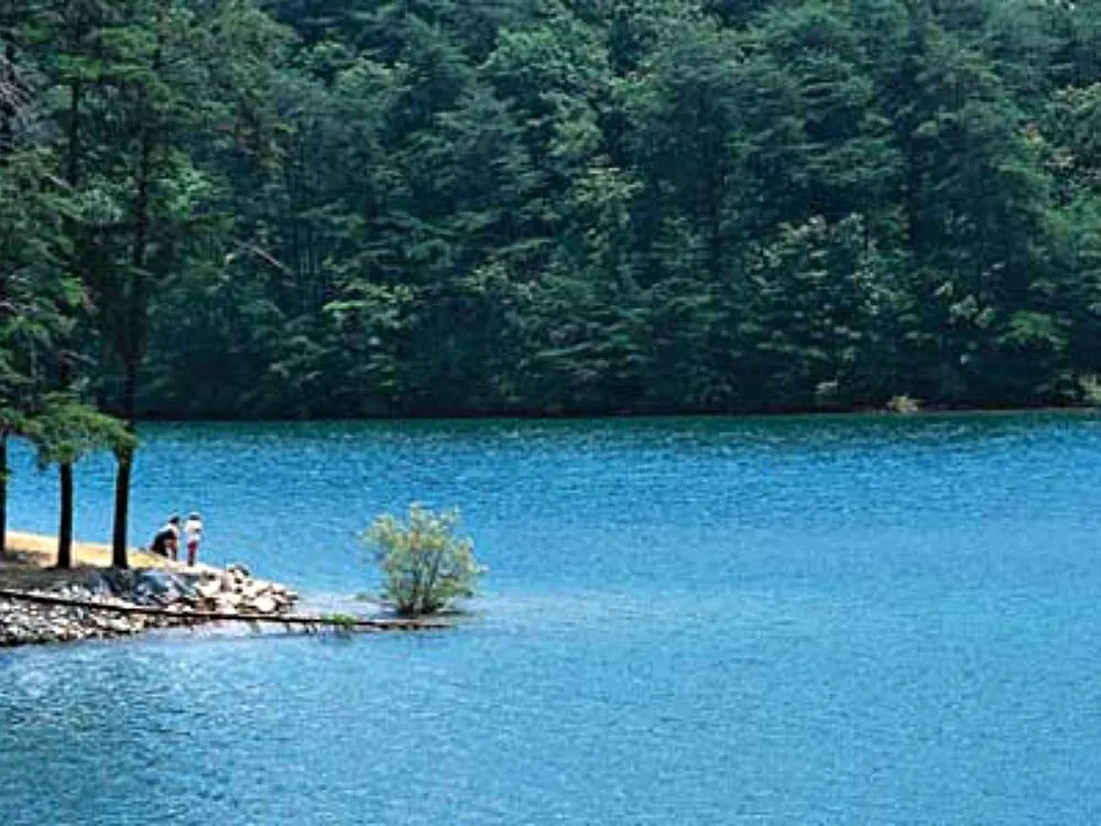 Fun Things to Do with Kids in Blue Ridge, GA