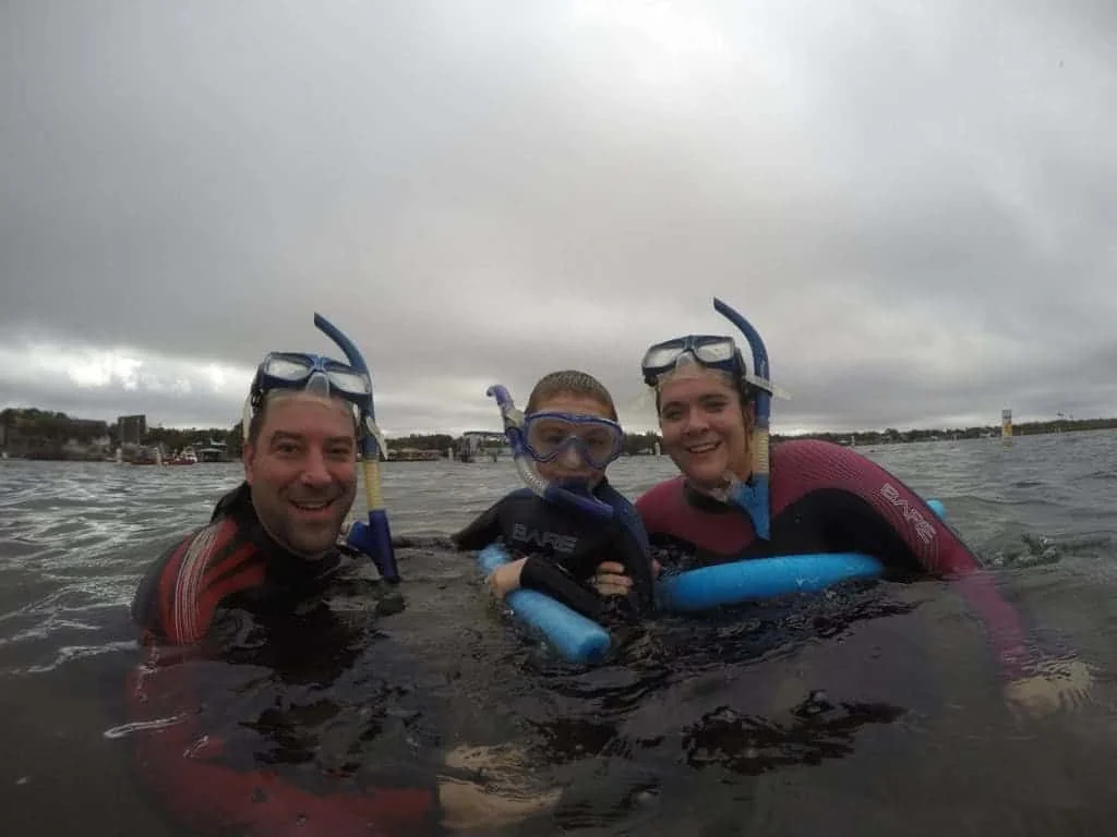 Swimming with the manatees
