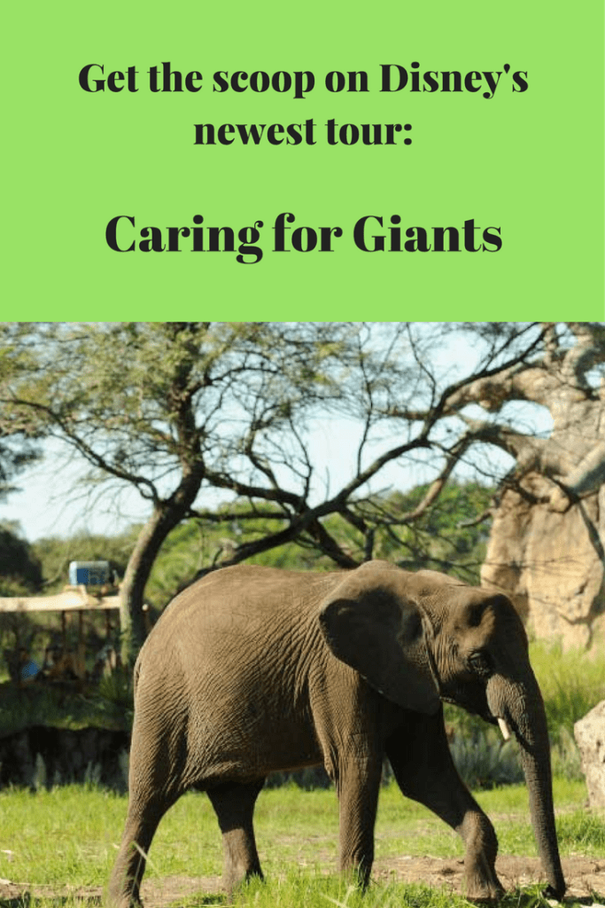 Caring for Giants