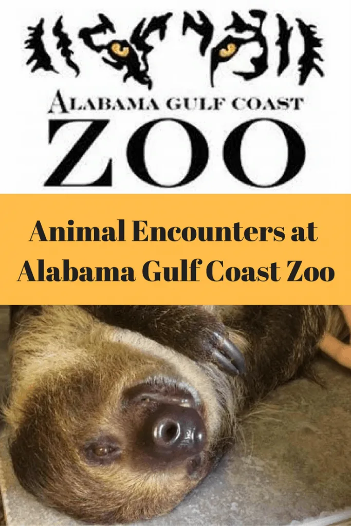 Animal Encounters at the Alabama Gulf Coast Zoo