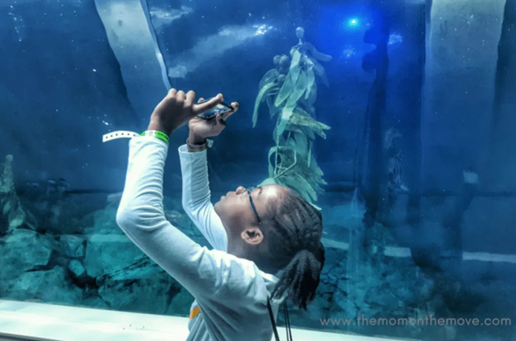 Detroit Zoo