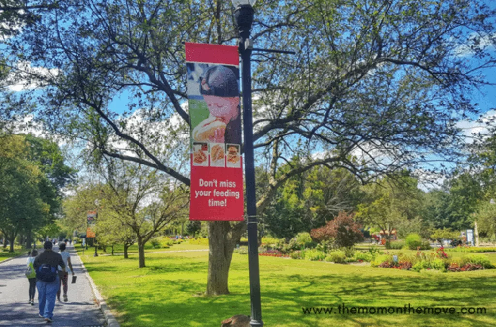 Detroit Zoo