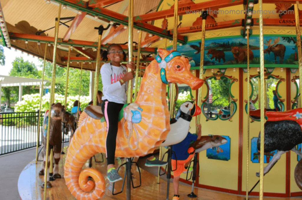 Detroit Zoo Carousel