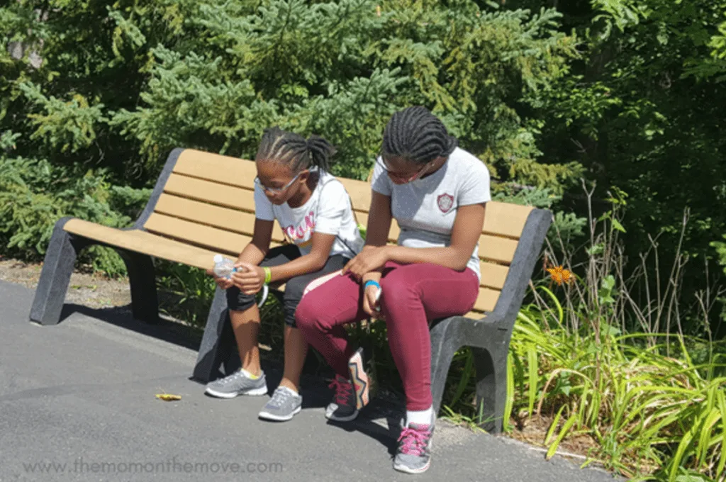 Detroit Zoo