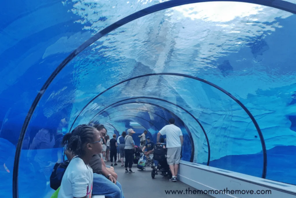Detroit Zoo