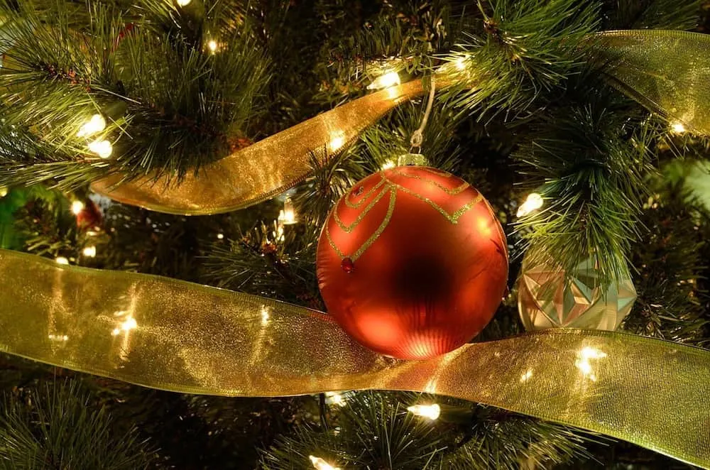 A Family Christmas Bucket list…no matter where you live!