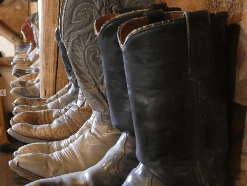 what to know about dude ranch vacations