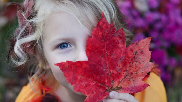 Fun Family Games to Play on Thanksgiving