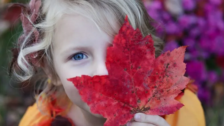 Fun Family Games to Play on Thanksgiving