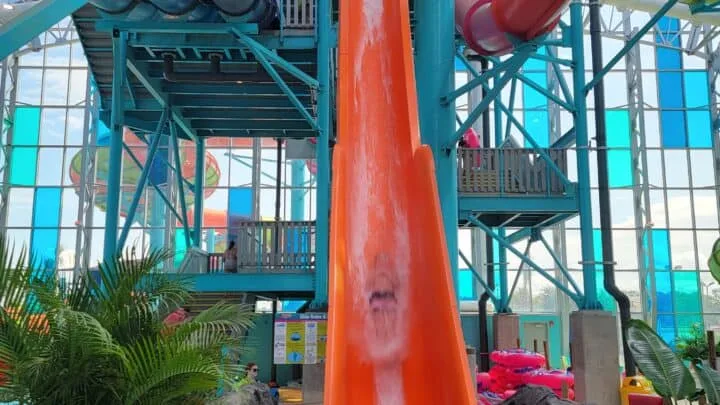 OWA: Waterparks and Rollercoasters, oh my!