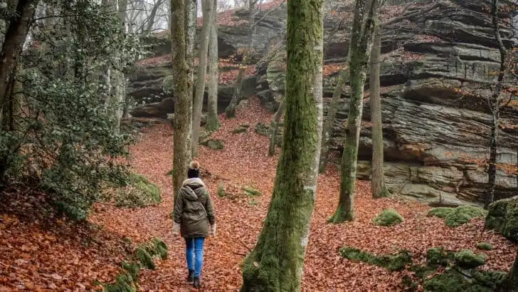 Family-Friendly Hiking Trails Across the US