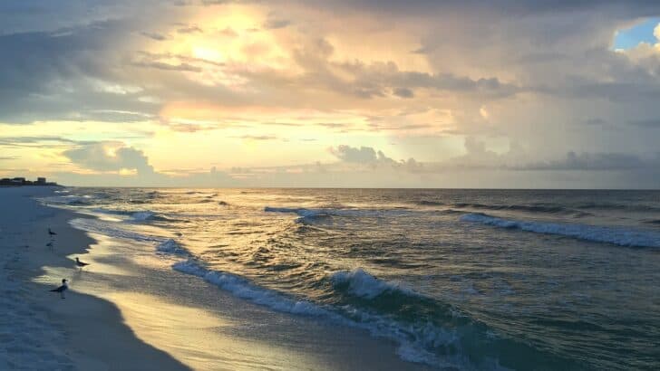 Affordable Fun in the Sun: Florida’s Best Budget-Friendly Beaches