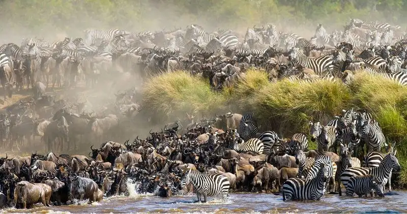 Maasai Mara, Kenya