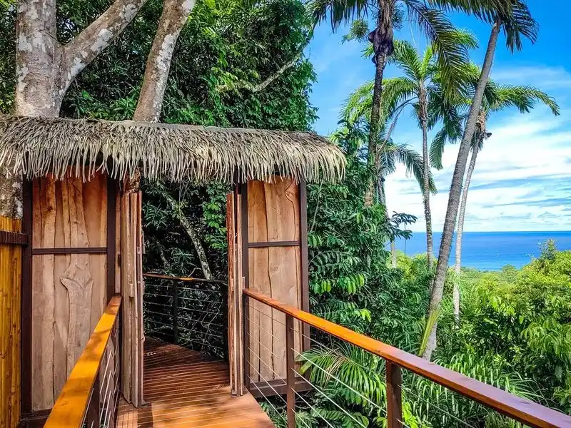 Treehouse Adventure in Costa Rica