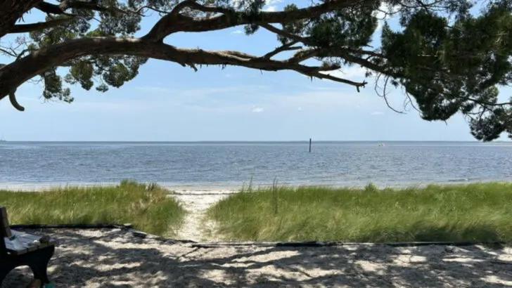 11 Stunning Shorelines That Show Off Georgia’s Coastal Charm