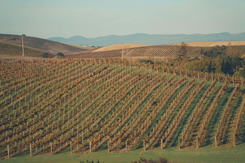 Napa Valley, California