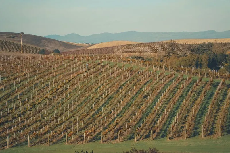 Napa Valley, California