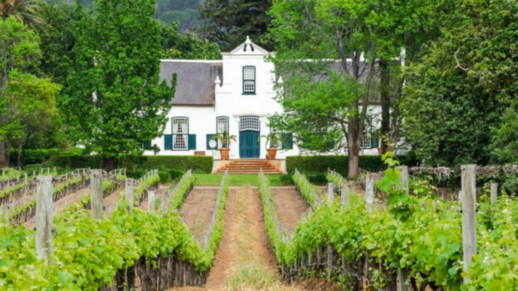 13 Best Wine Regions in the US for Food & Drink Lovers