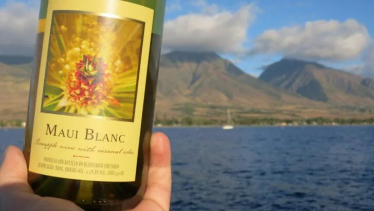 13 Cool Souvenir Gifts to Bring Back From Hawaii