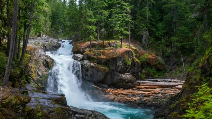 14 Family Vacations in Oregon That Are Big on Fun and Easy on Stress