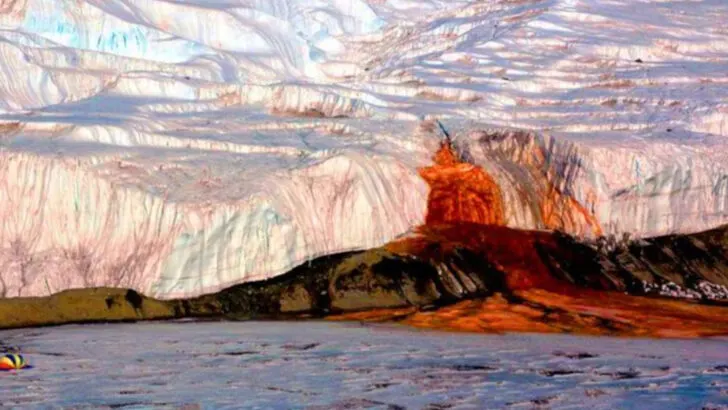 14 Things About Antarctica Most People Don’t Know (but Should)