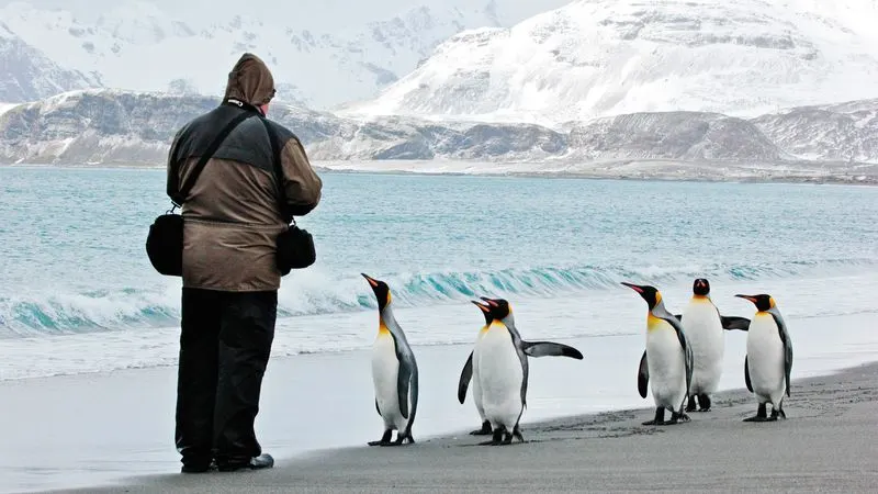 Antarctica